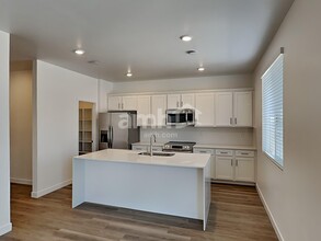 12248 Misty Draw Ln in Marana, AZ - Building Photo - Building Photo