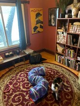 1678 Charles Ave, Unit #2 in St. Paul, MN - Building Photo - Building Photo