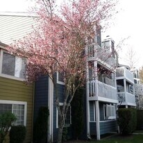 22831 30th Ave S, Unit 105 in Des Moines, WA - Building Photo