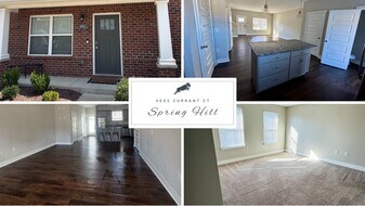 4002 Currant Ct in Spring Hill, TN - Building Photo