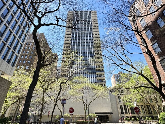 1230 N State Pky, Unit G00C in Chicago, IL - Building Photo - Building Photo