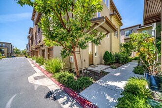 353 Odyssey Ln in Milpitas, CA - Foto de edificio - Building Photo