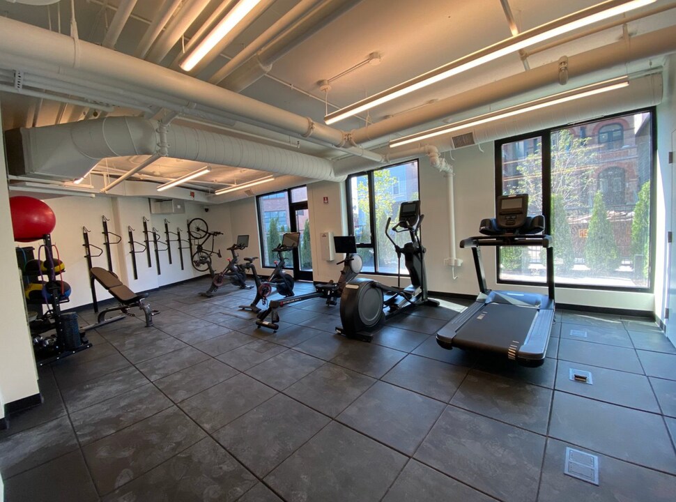 1120 W Patterson Ave in Chicago, IL - Building Photo
