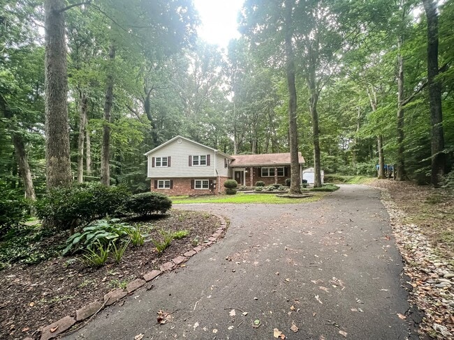 13501 Richie Ct in Manassas, VA - Building Photo - Building Photo