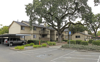 Woodgate Oaks Apartments