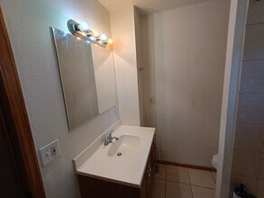 420 Kutsu Ridge Rd in Florissant, CO - Building Photo - Building Photo