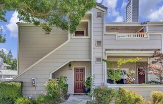 614 Norris Canyon Terrace in San Ramon, CA - Building Photo