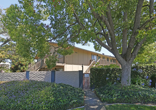 Blue Hills Studio in San Jose, CA - Building Photo - Building Photo