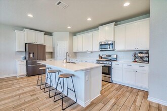 345 Silktassel Way in Hays, TX - Building Photo - Building Photo