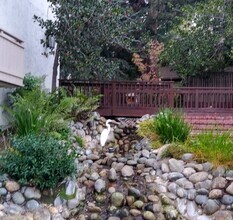 20812 4th St in Saratoga, CA - Building Photo - Building Photo