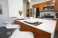 Trianon Lofts in Chicago, IL - Building Photo - Interior Photo