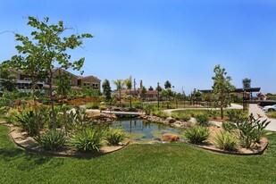 Paradise Village Apartamentos