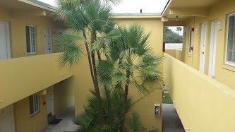 Croissant Park Apartments in Fort Lauderdale, FL - Building Photo - Building Photo