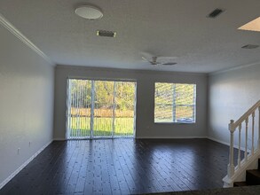 11641 Declaration Dr in Tampa, FL - Foto de edificio - Building Photo