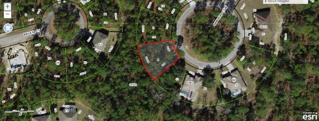 12 Sanders Ct W in Homosassa, FL - Foto de edificio - Building Photo