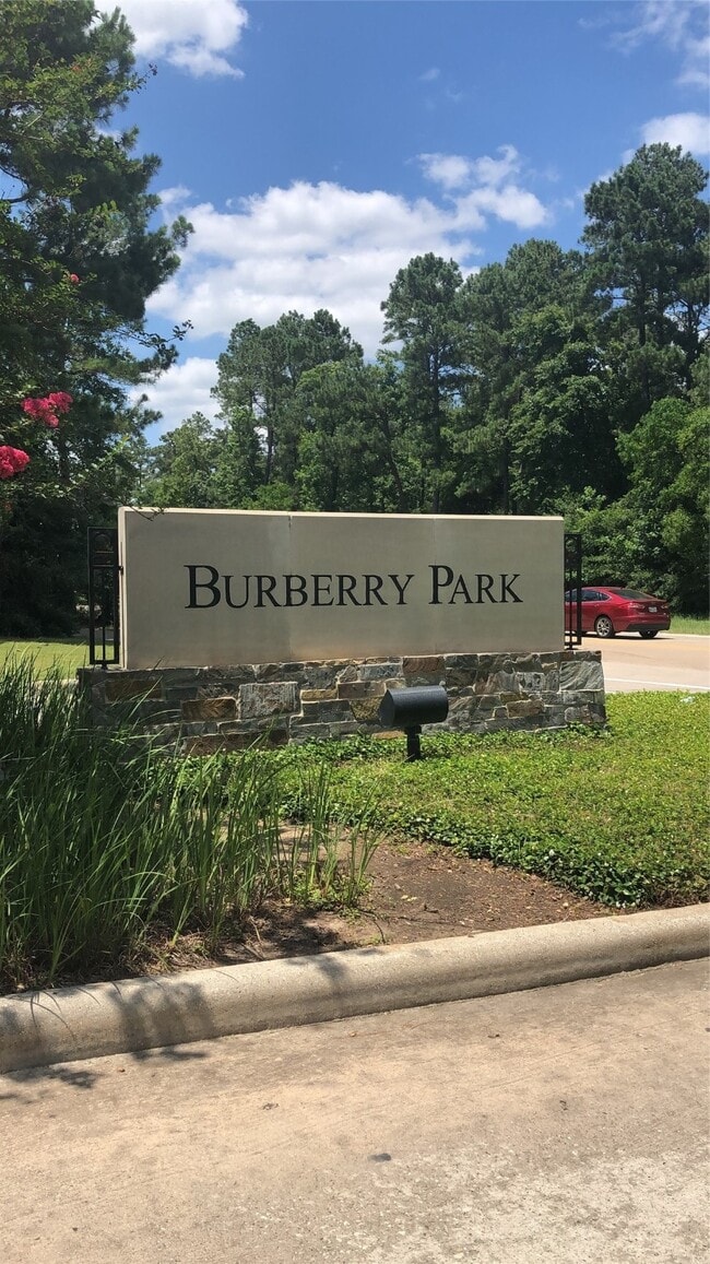 property at 11 Aquiline Oaks Pl