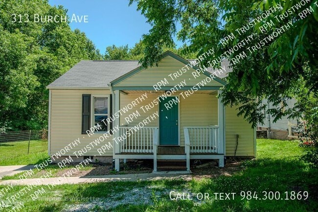 property at 313 Burch Ave