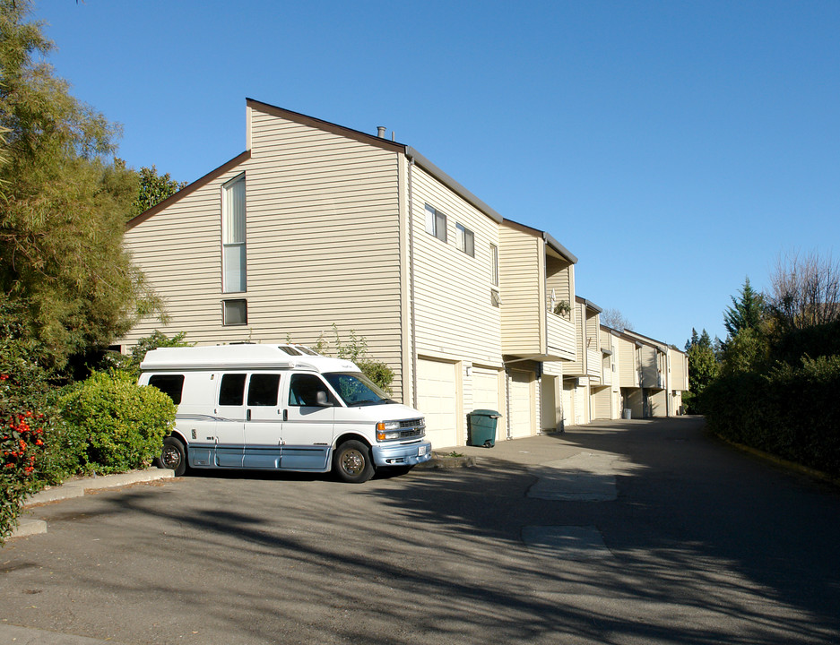 The Birches in Santa Rosa, CA - Building Photo