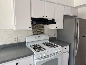 5907 Cougar Dr in Austin, TX - Building Photo - Building Photo