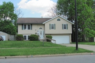 1241 Frederick Blvd in Akron, OH - Building Photo