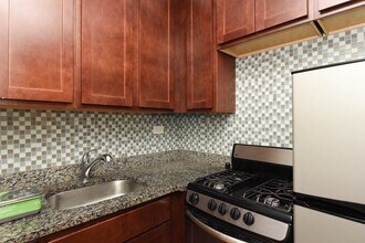 553 W Arlington Pl in Chicago, IL - Building Photo - Building Photo