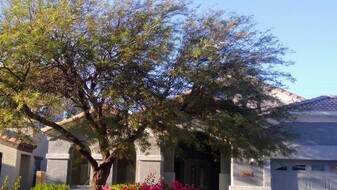 24744 W Illini St in Buckeye, AZ - Building Photo