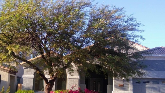 property at 24744 W Illini St