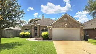 10314 Raybrook Ln in Houston, TX - Building Photo