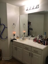 4047 Pedernales River Ln in Spring, TX - Building Photo - Building Photo