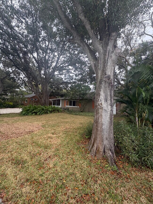 3022 Dartmouth Ave N in St. Petersburg, FL - Building Photo - Building Photo