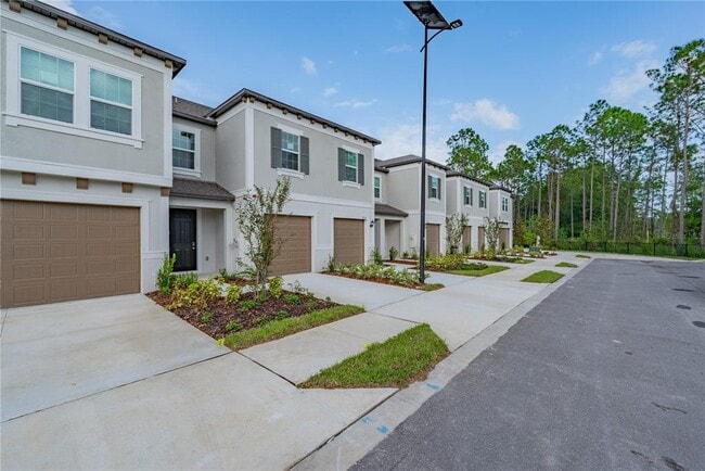10834 Fowlers Blf Ct in Tampa, FL - Building Photo - Building Photo