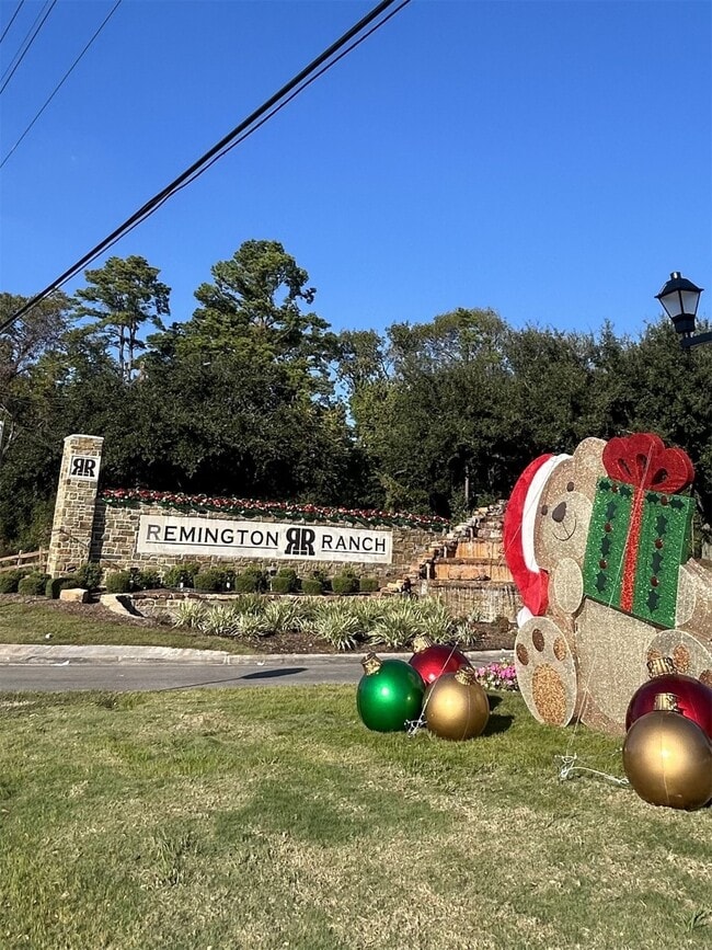 18702 Desert Marigold Dr in Houston, TX - Building Photo - Building Photo