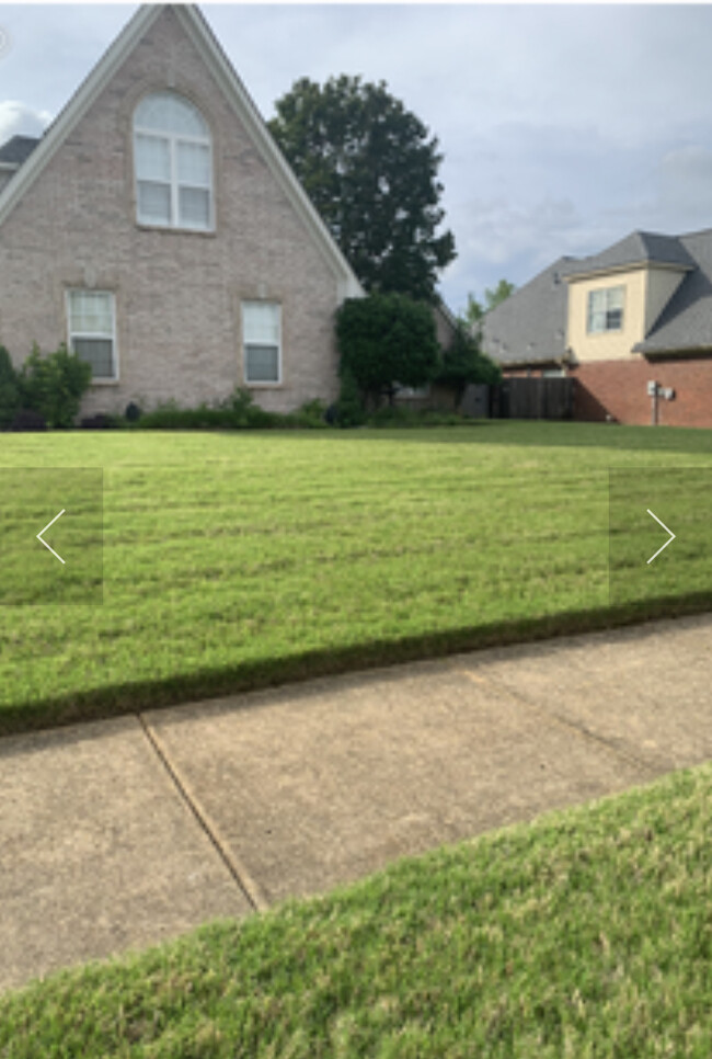 9189 Joe Lyon Blvd in Olive Branch, MS - Building Photo - Building Photo