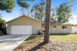 9556 Brimton Dr in Orlando, FL - Building Photo