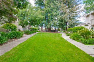1225 Crescent Terrace in Sunnyvale, CA - Building Photo - Building Photo