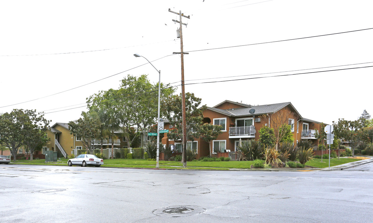 Los Olivos Apartments in Santa Clara, CA - Foto de edificio