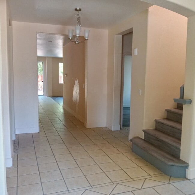 property at 4629 Palomino Way