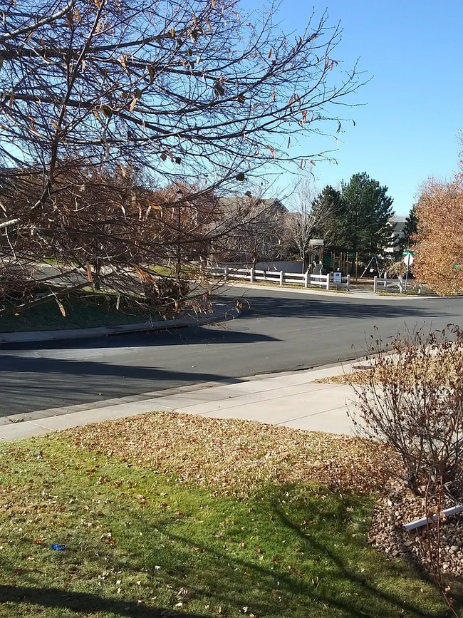 557 Stellars Jay Dr in Littleton, CO - Building Photo - Building Photo