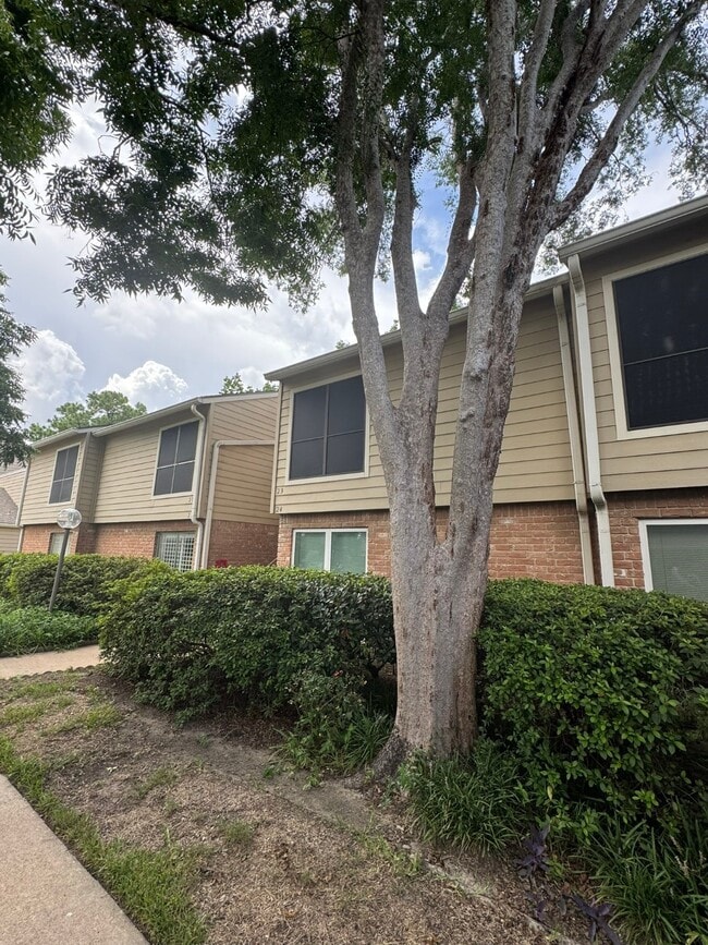 5005 Georgi Ln in Houston, TX - Building Photo - Building Photo