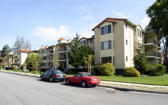 The Pavilions At Tyson Lane Apartments