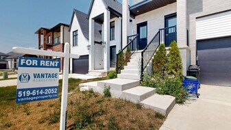 3867 Petalpath Wy in London, ON - Building Photo