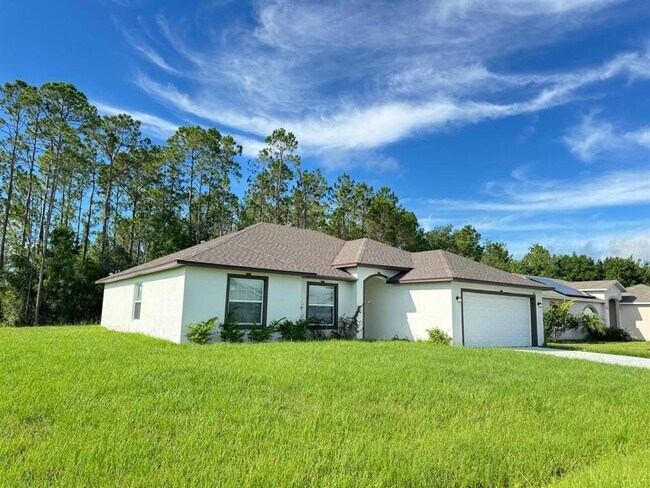 863 Ognon Ct in Kissimmee, FL - Building Photo - Building Photo