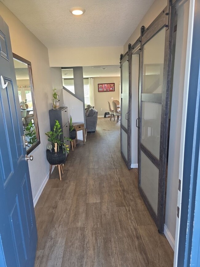 5955 Smarty Jones Wy in Bellview, FL - Building Photo - Building Photo