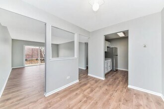 10308 Circle Dr in Oak Lawn, IL - Building Photo - Building Photo