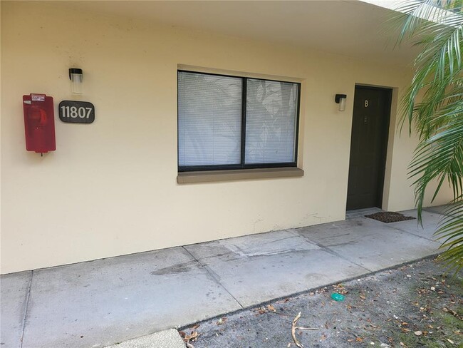 11807 Raintree Lake Ln in Tampa, FL - Building Photo - Building Photo