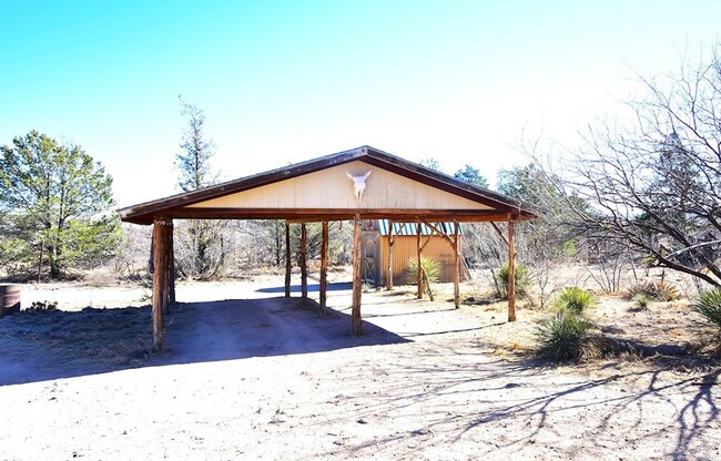 909 S Cactus St, Unit B in Alpine, TX - Building Photo - Building Photo