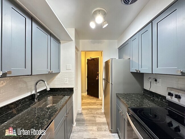 3815 N Pine Grove Ave, Unit 210 in Chicago, IL - Foto de edificio - Building Photo