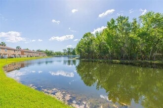 4220 Winding River Way in Land O Lakes, FL - Building Photo - Building Photo