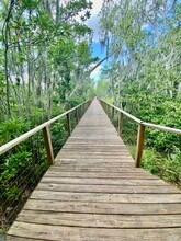 424 Lake Mirror Dr in Lake Placid, FL - Building Photo - Building Photo