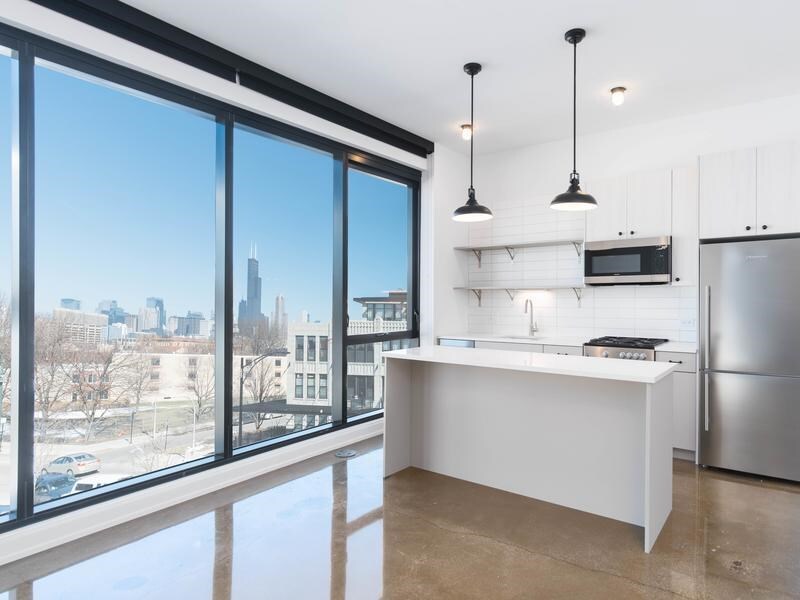 1450 S Blue Island Ave in Chicago, IL - Building Photo